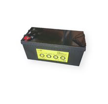 Load image into Gallery viewer, 12.8 Volt 200 Amp/Hr Lithium Battery with Bluetooth App
